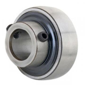 Bearing YRT100 INA