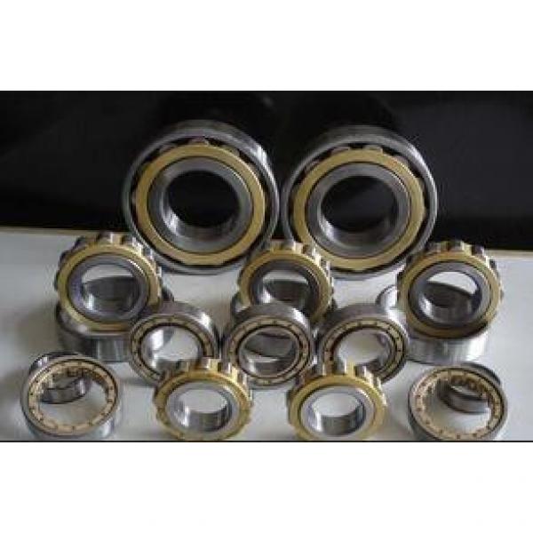 Rexroth hydraulic pump bearings F-205526 #2 image